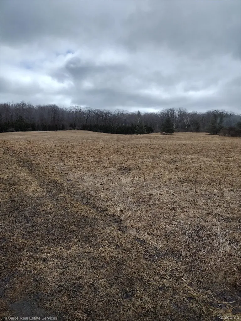 4771 E County Line Road Curtis Township MI 48761