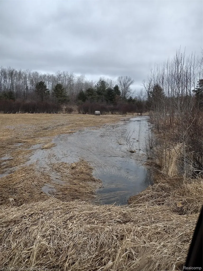 4771 E County Line Road Curtis Township MI 48761