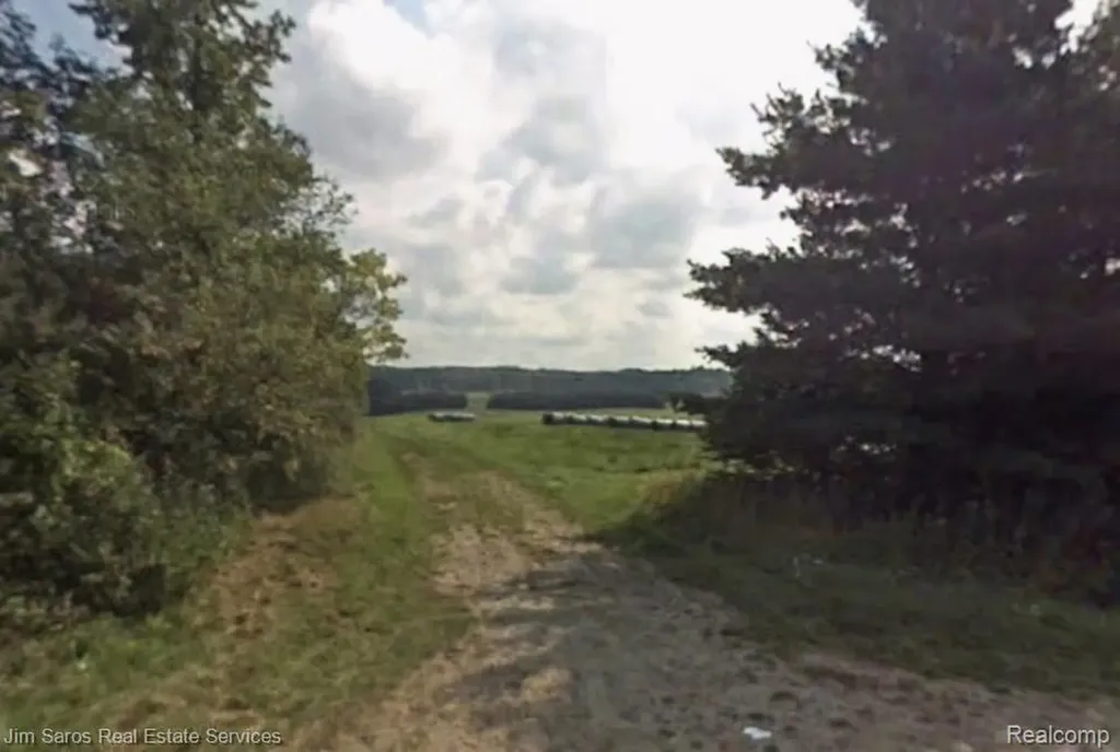 4771 E County Line Road Curtis Township MI 48761
