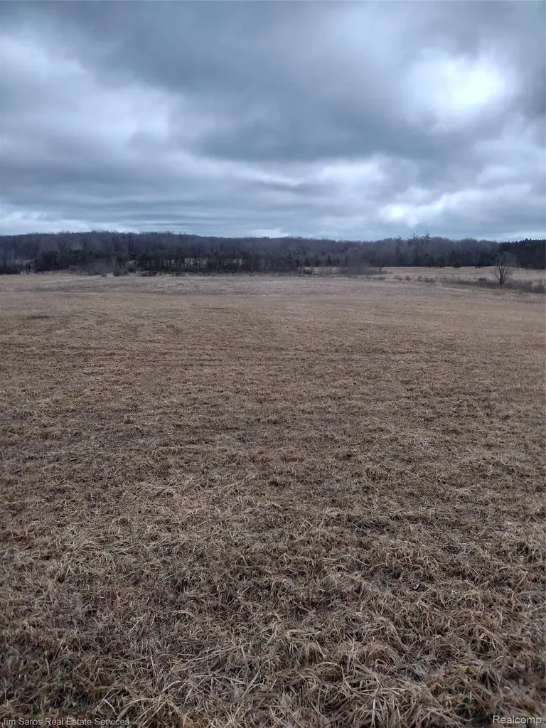 4771 E County Line Road Curtis Township MI 48761