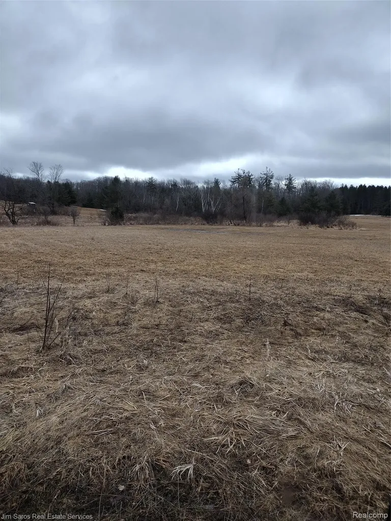 4771 E County Line Road Curtis Township MI 48761