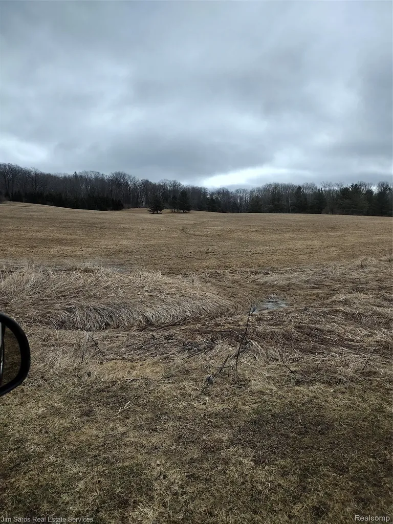 4771 E County Line Road Curtis Township MI 48761