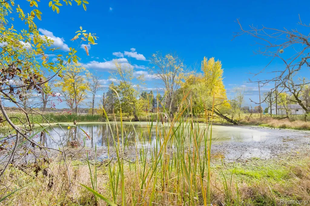 13278 9 Mile Road Green Oak Township MI 48178