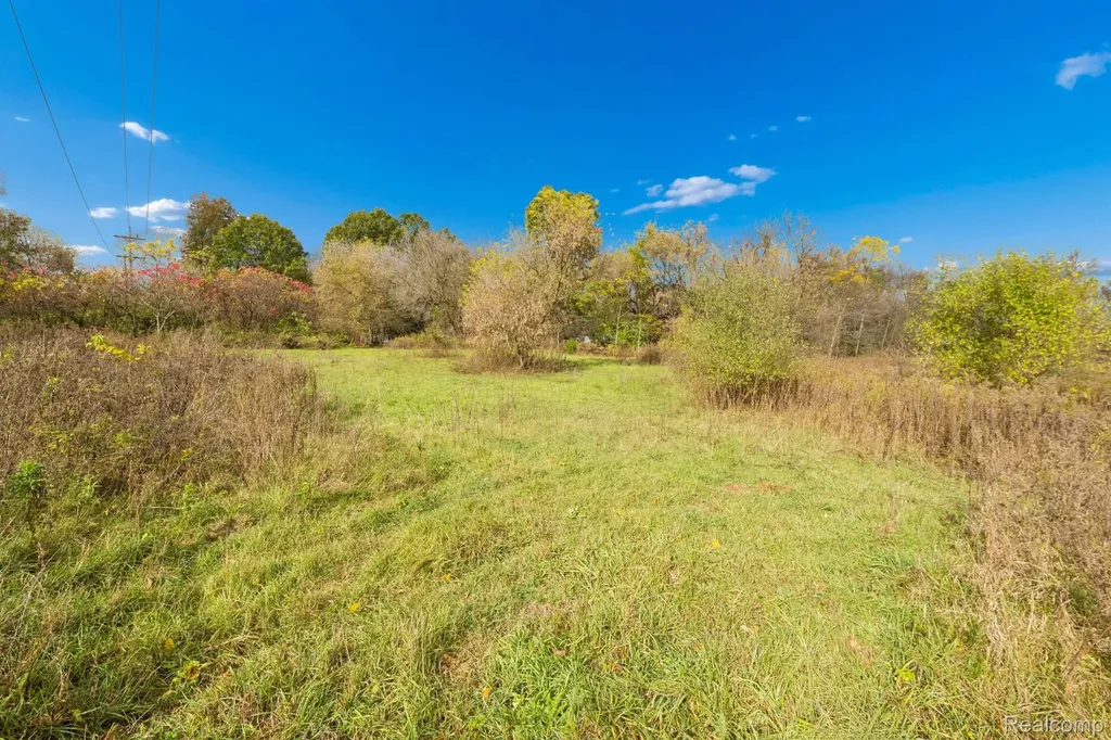 13278 9 Mile Road Green Oak Township MI 48178