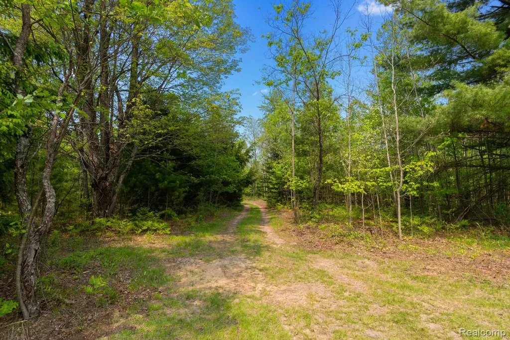 5960 N Trail SE Orange Township MI 49646