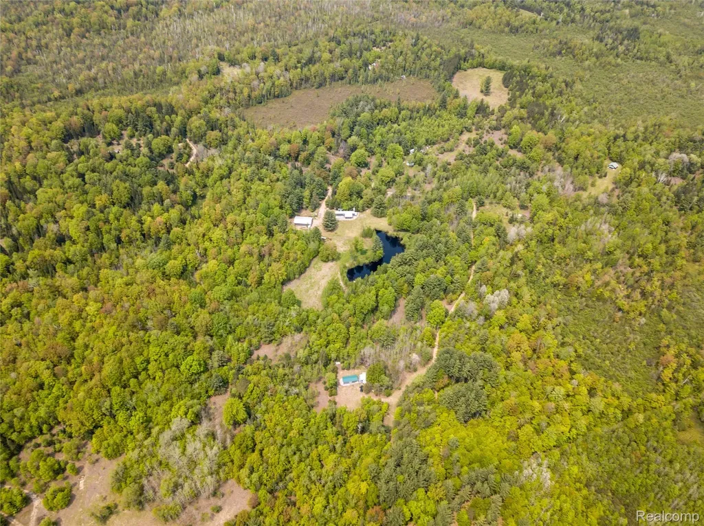 5960 N Trail SE Orange Township MI 49646