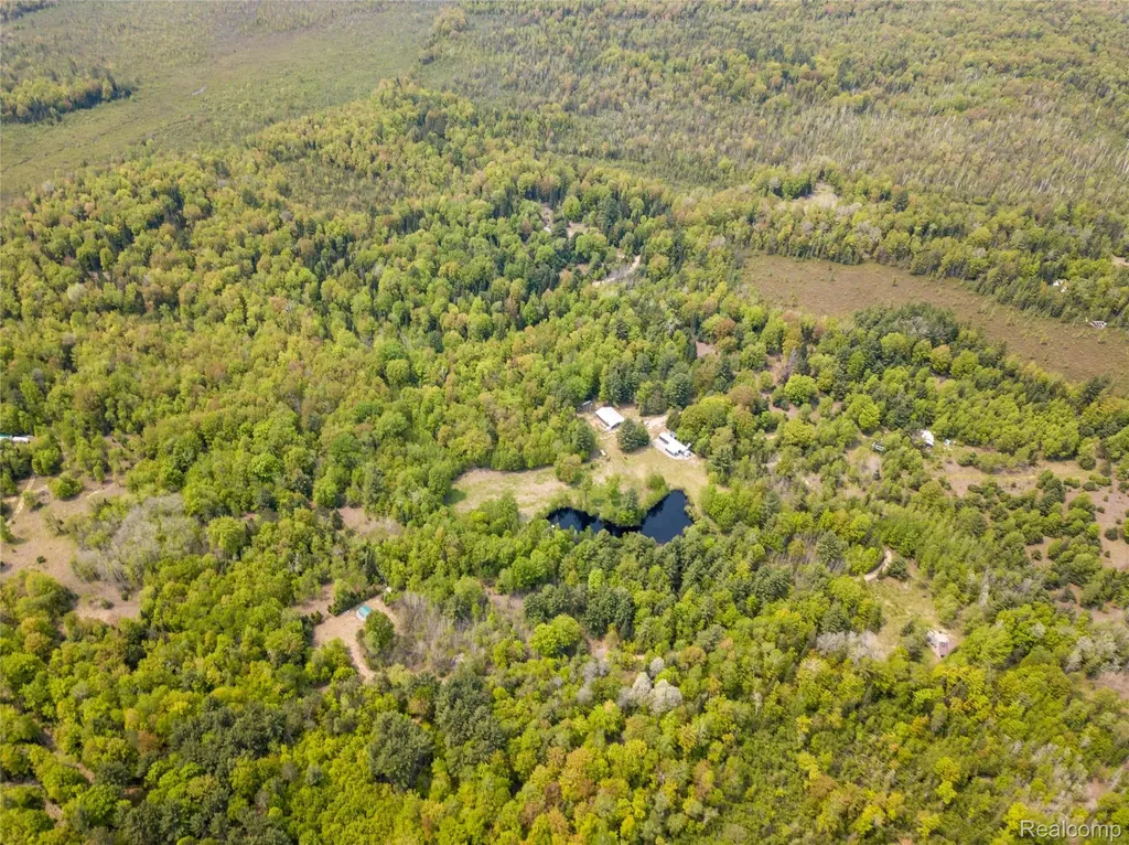 5960 N Trail SE Orange Township MI 49646