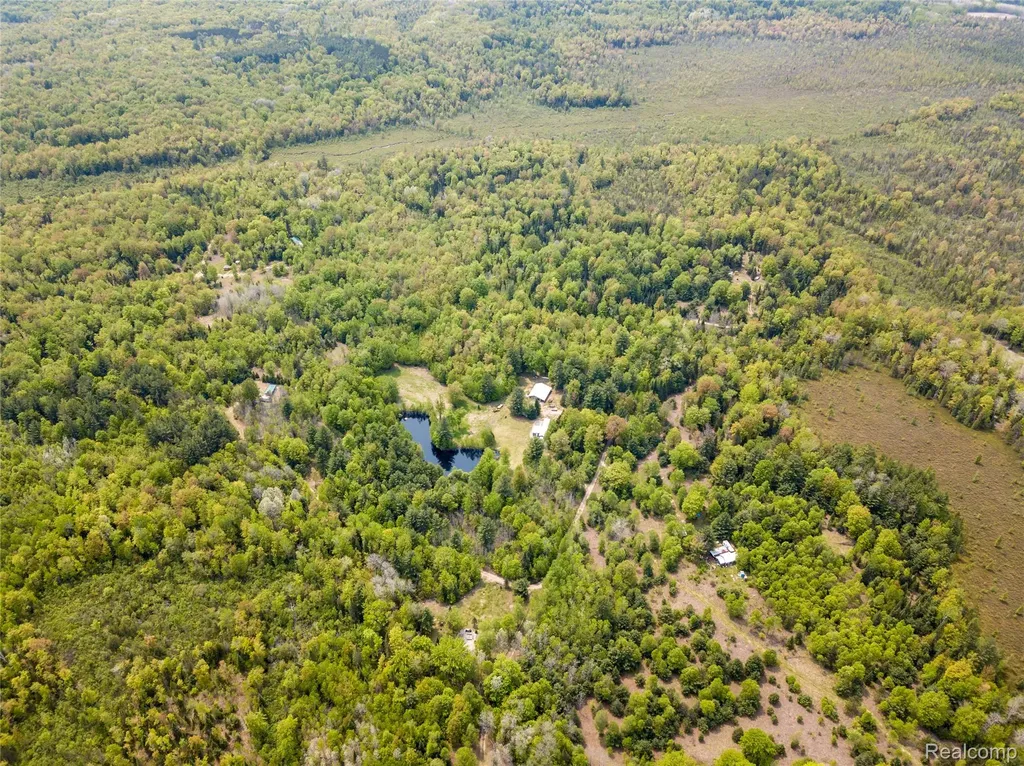 5960 N Trail SE Orange Township MI 49646