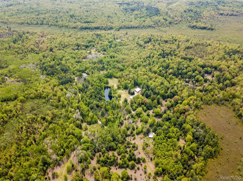 5960 N Trail SE Orange Township MI 49646
