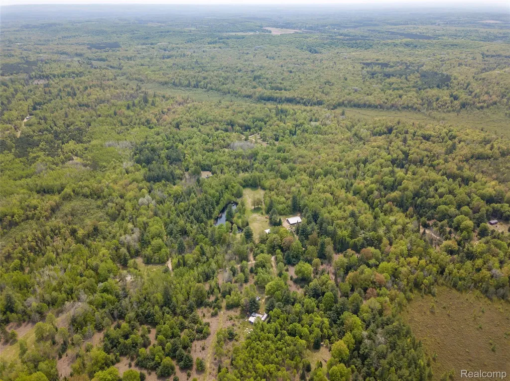 5960 N Trail SE Orange Township MI 49646