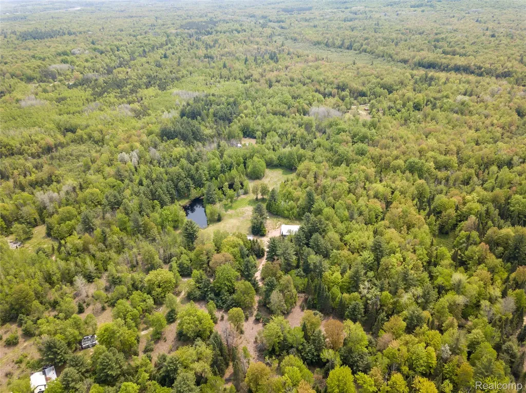 5960 N Trail SE Orange Township MI 49646