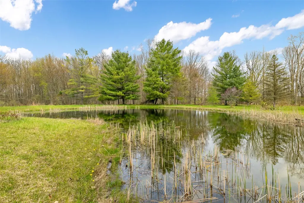 4425 Bethuy Road Casco Township MI 48064