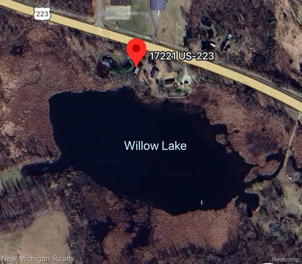 17221 W Us Highway 223 Woodstock Township MI 49220