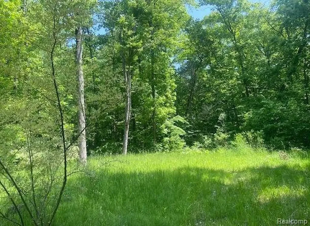 Parcel 2 & 4 Deadwood Lane Genoa Township MI 48114
