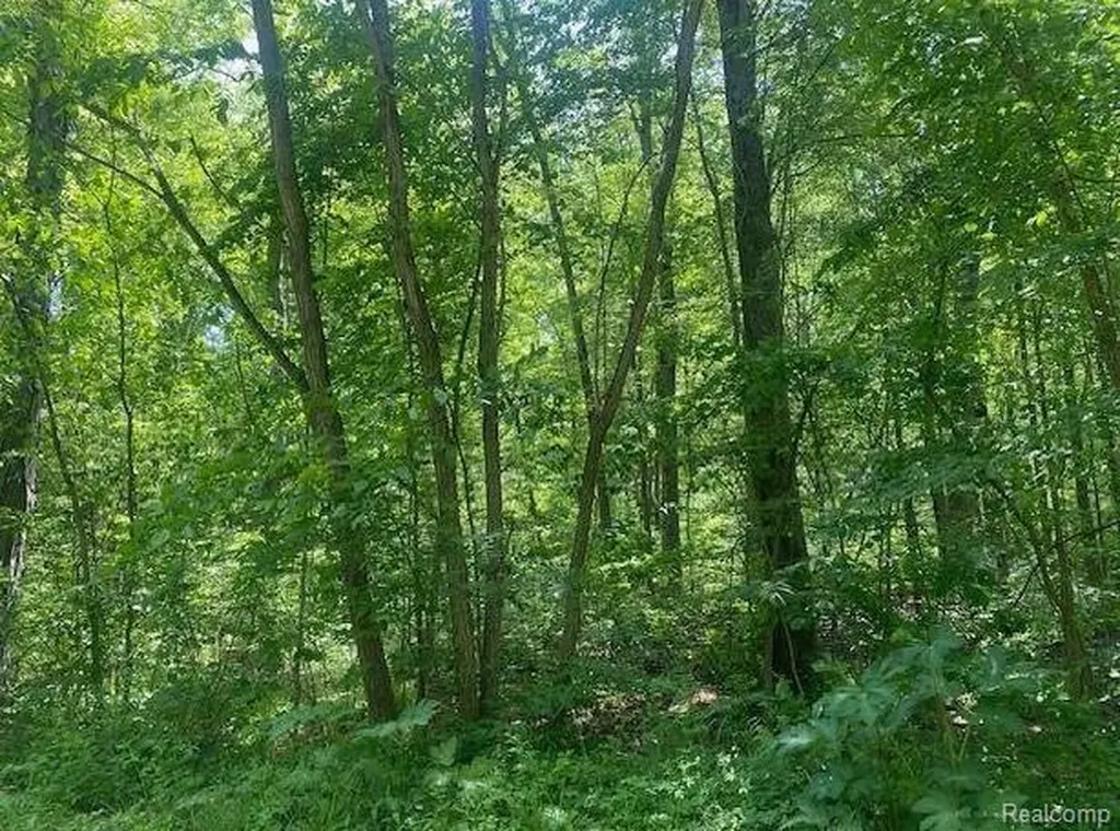Parcel 2 & 4 Deadwood Lane Genoa Township MI 48114