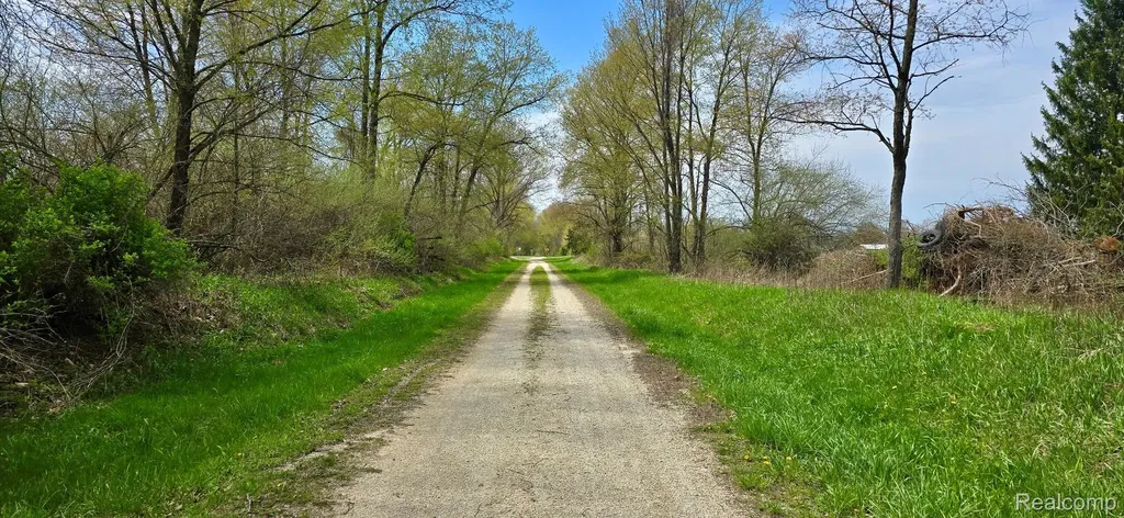 Vl 2.86 Acres W M-36 Unadilla Township MI 48169