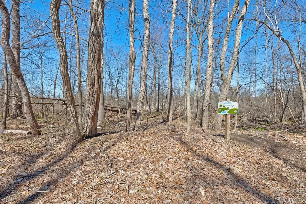 0 Steadfield Commerce Charter Township MI 48382