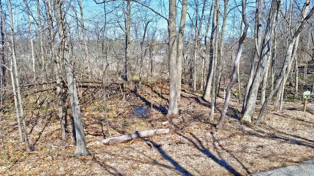 0 Steadfield Commerce Charter Township MI 48382