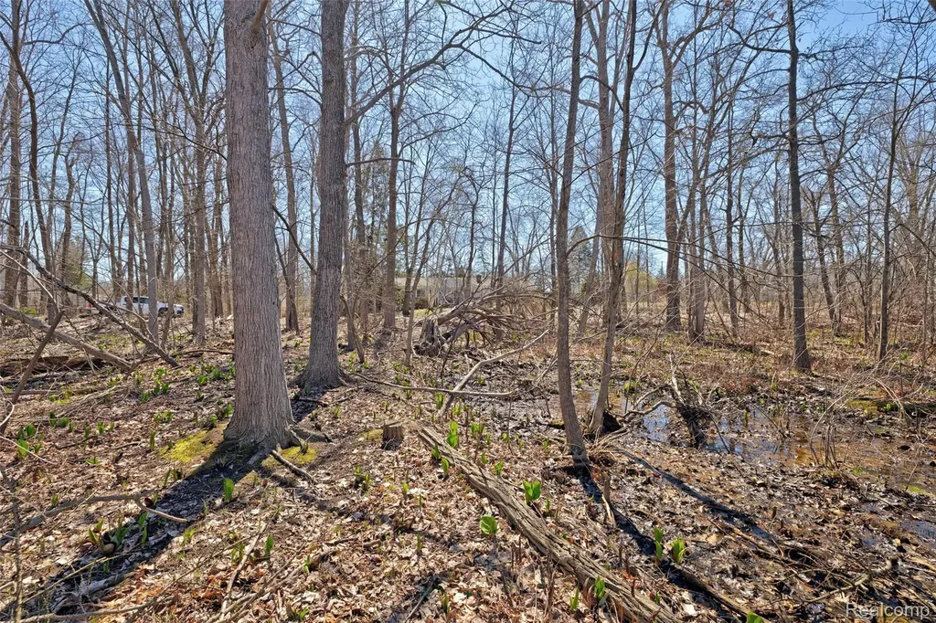 0 Steadfield Commerce Charter Township MI 48382