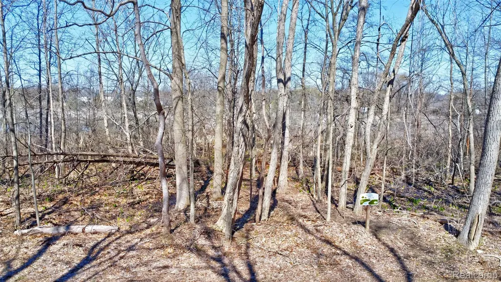 0 Steadfield Commerce Charter Township MI 48382