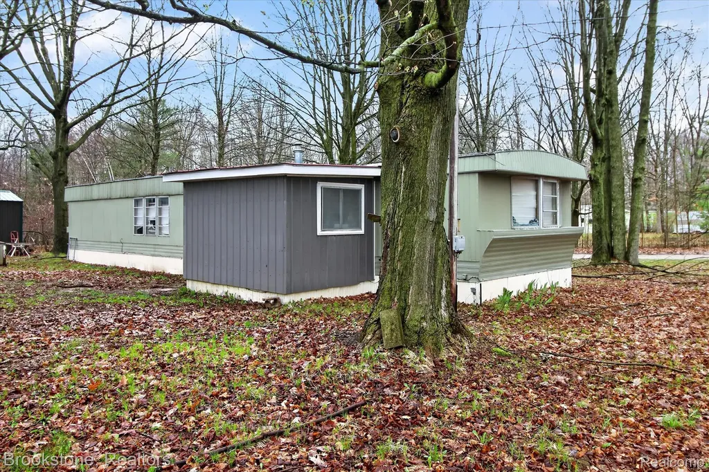 7291 Birch Avenue Martiny Township MI 49332