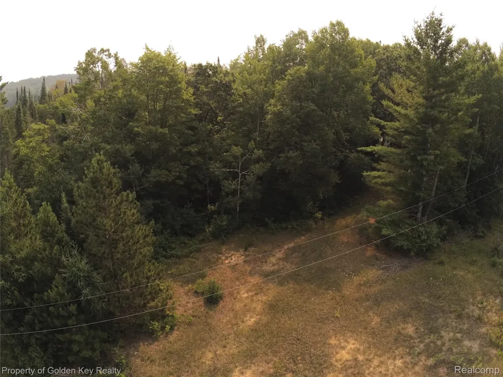 3288 Athey Avenue Hamilton Township MI 48625
