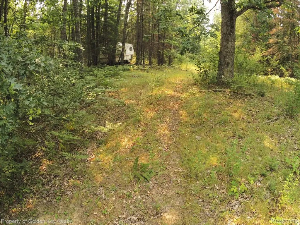 3288 Athey Avenue Hamilton Township MI 48625