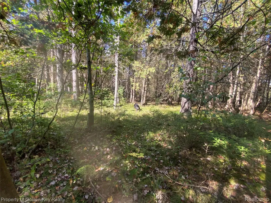 3288 Athey Avenue Hamilton Township MI 48625