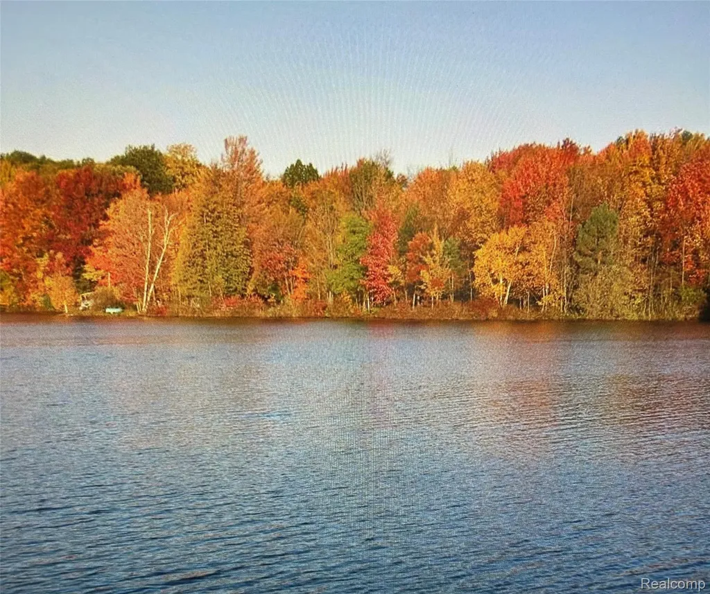 3805 Lee Hill Road Dayton Township MI 48744