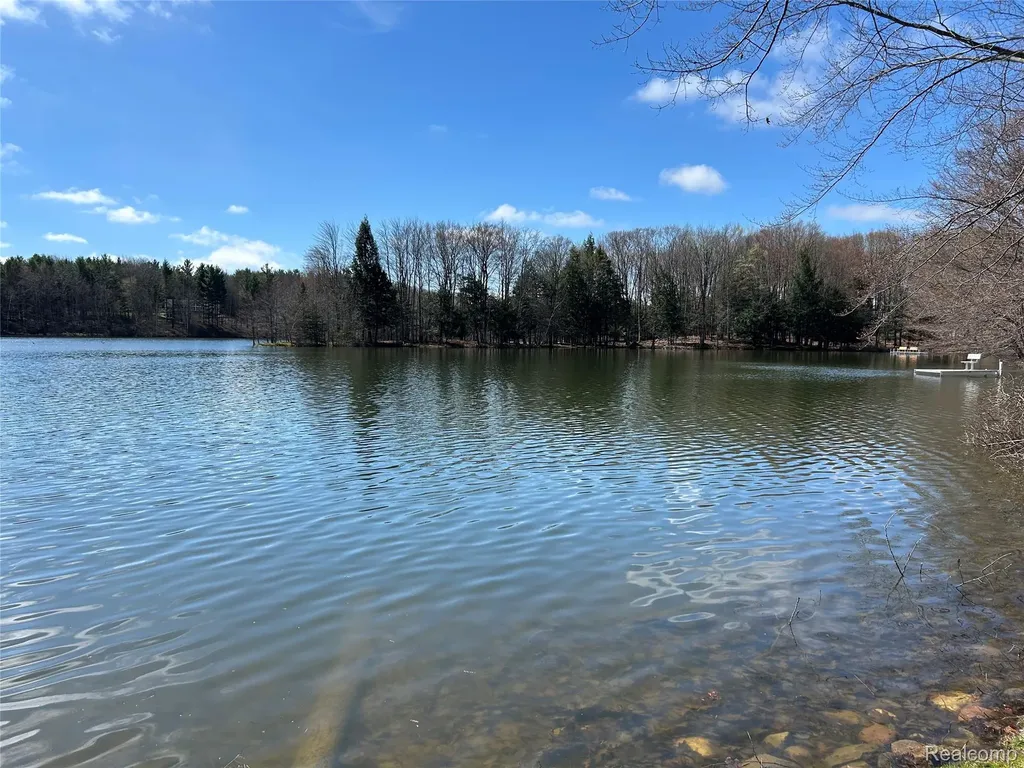 3805 Lee Hill Road Dayton Township MI 48744