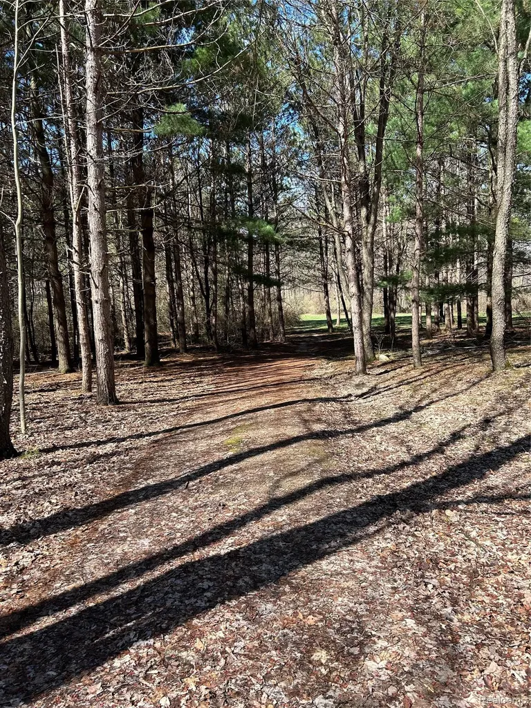 3805 Lee Hill Road Dayton Township MI 48744