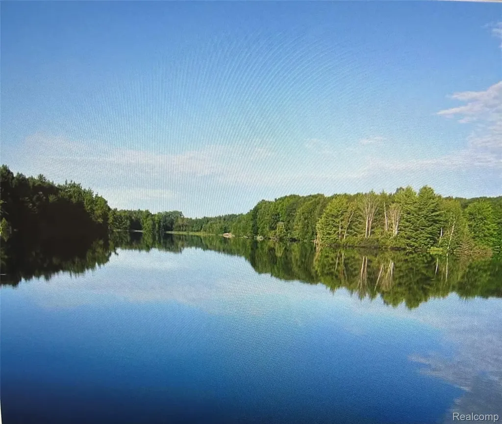 3805 Lee Hill Road Dayton Township MI 48744