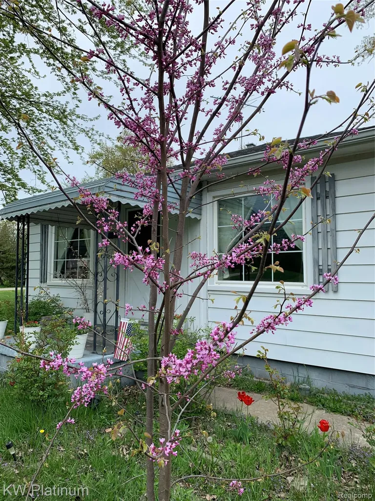 27135 Ballard Street Harrison Charter Township MI 48045