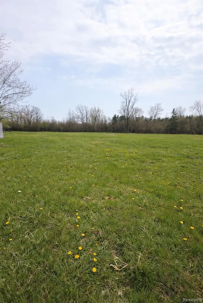 30155 Fort Road Brownstown Charter Township MI 48173