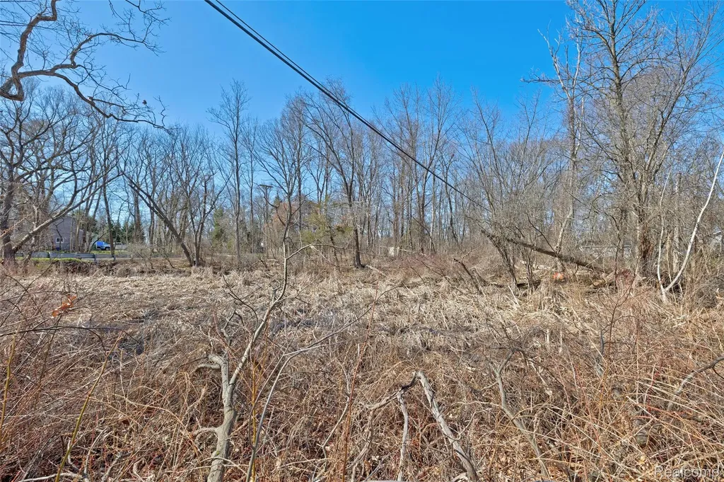 0000 Tambora Street Commerce Charter Township MI 48382