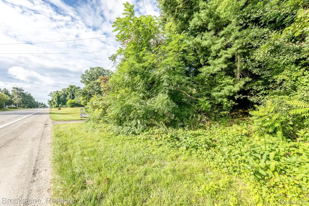 4188 Lakeshore Drive Road Lexington Township MI 48450