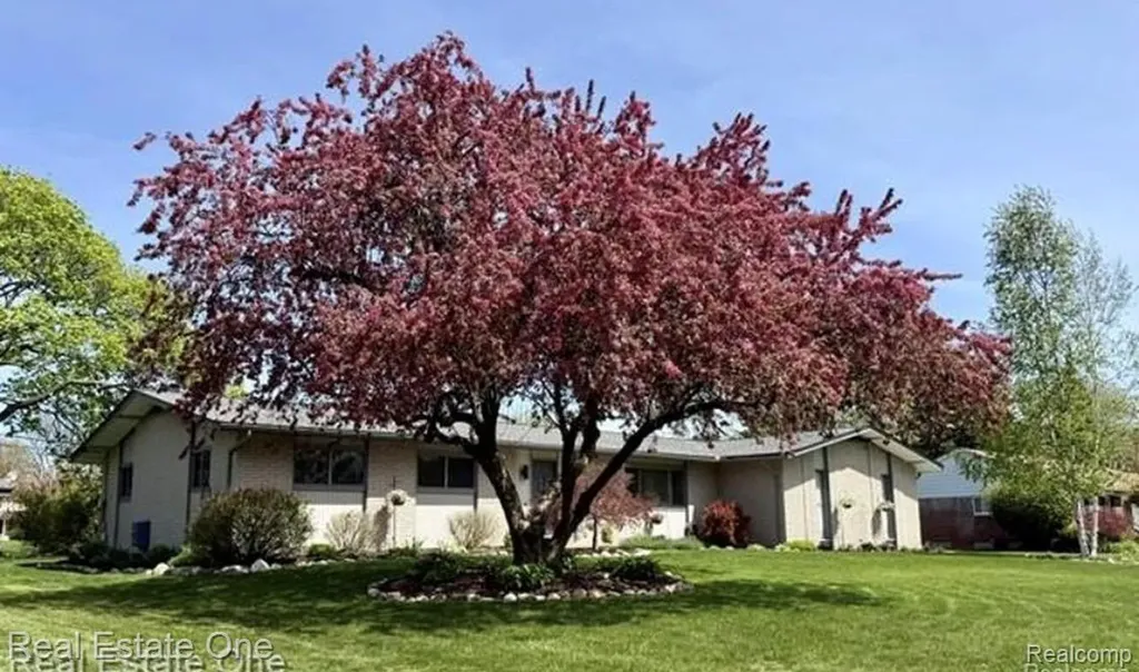 1115 Torpey Drive Troy City MI 48083