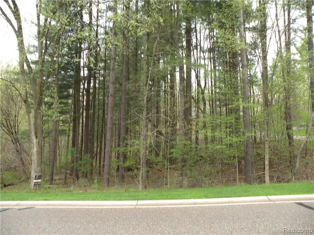 Lot #33 Alta Vista Alta Vista Drive Hamburg Township MI 48169