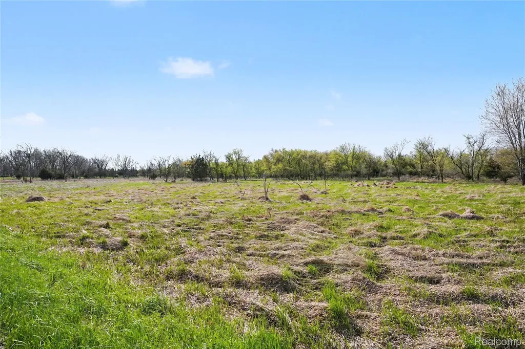 8857 Bath Road Burns Township MI 48418