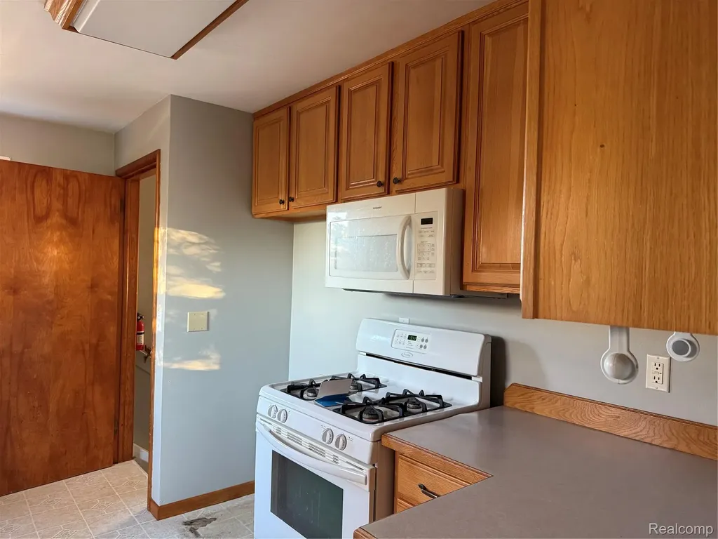2450 W Snover Road Moore Township MI 48471