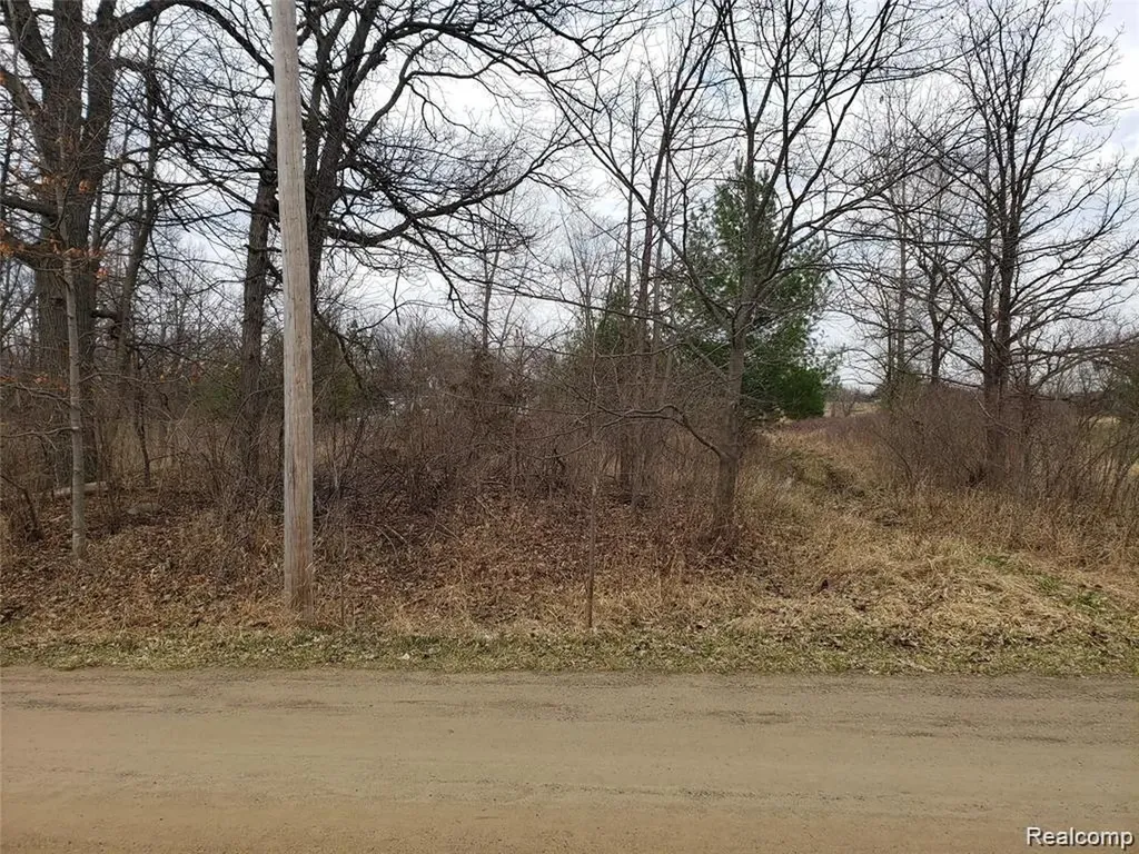0000 Farmbrook Lane Metamora Township MI 48455