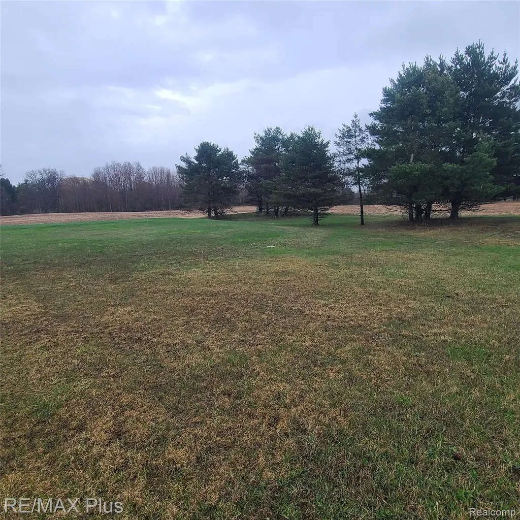 7931 Clear Lake Road Burnside Township MI 48416