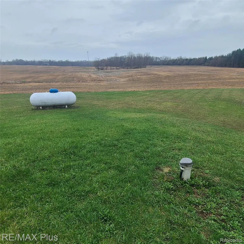 7931 Clear Lake Road Burnside Township MI 48416
