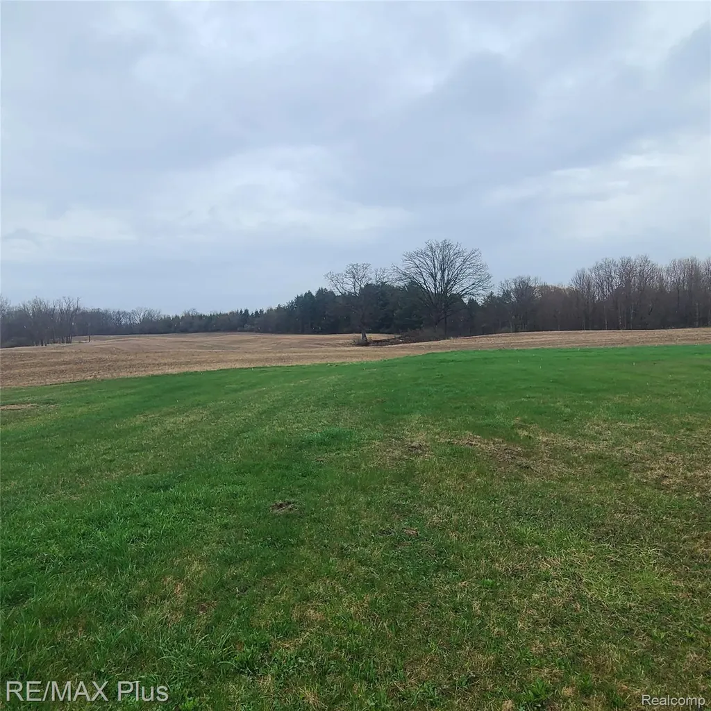 7931 Clear Lake Road Burnside Township MI 48416