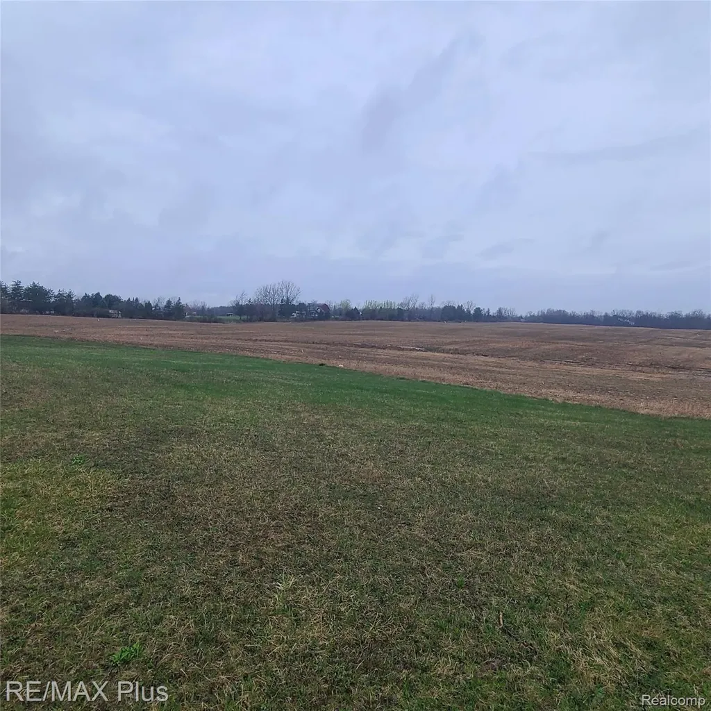 7931 Clear Lake Road Burnside Township MI 48416