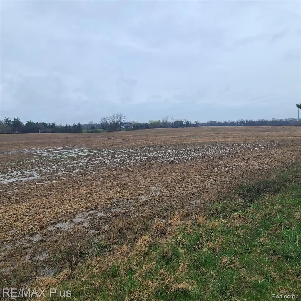 7931 Clear Lake Road Burnside Township MI 48416