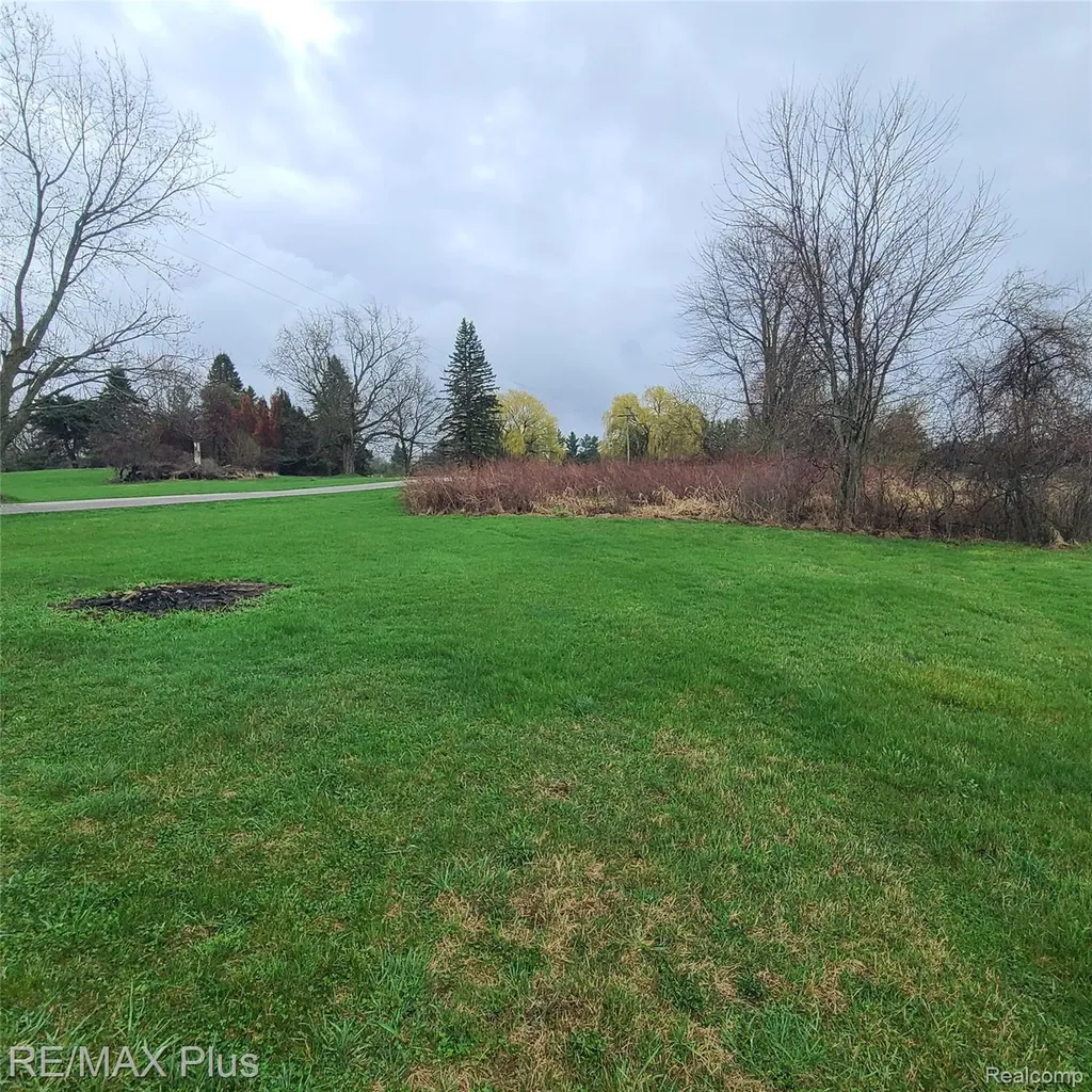 7931 Clear Lake Road Burnside Township MI 48416