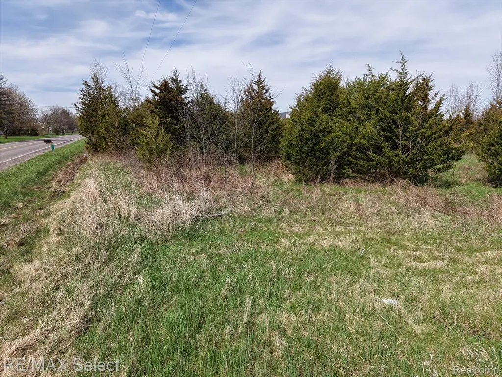 0 S Morrish Road Clayton Charter Township MI 48532