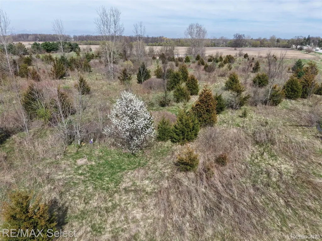 0 S Morrish Road Clayton Charter Township MI 48532