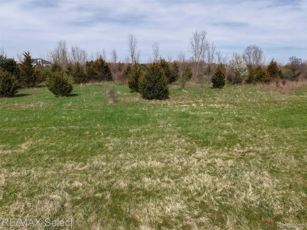 0 S Morrish Road Clayton Charter Township MI 48532